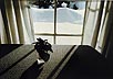 [ira
photograph]
